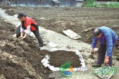 蚯蚓粪肥让土壤会“呼吸”茶叶品质提上去