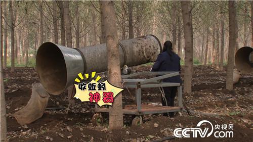 《致富经》为妻创业 粪里筛出500万