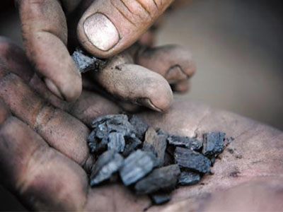 生物炭产业亟须政策扶一把