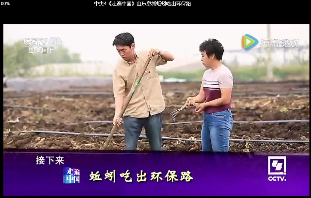 《走遍中国》蚯蚓吃出环保路