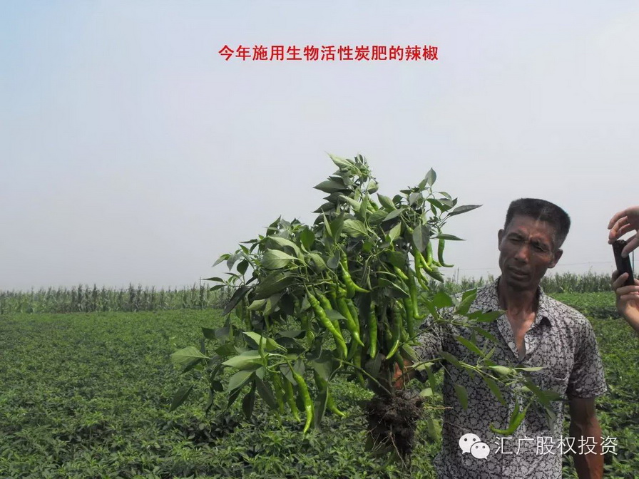 生物活性碳肥----下一个新型肥料热点揭秘