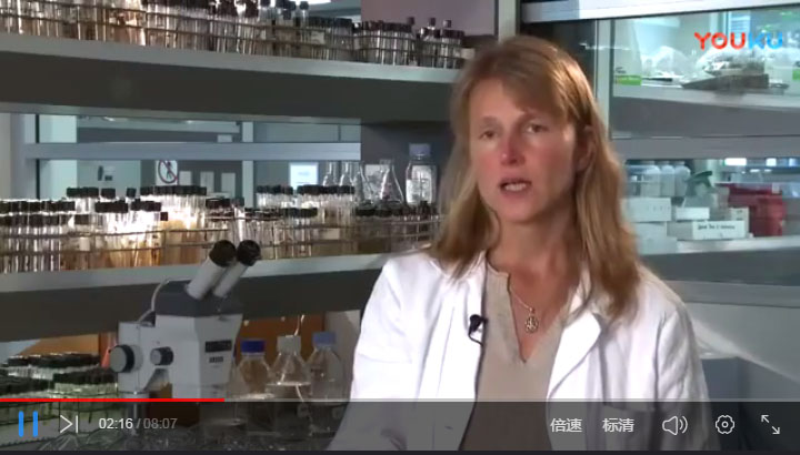 外国生物炭视频15-Biochar Research