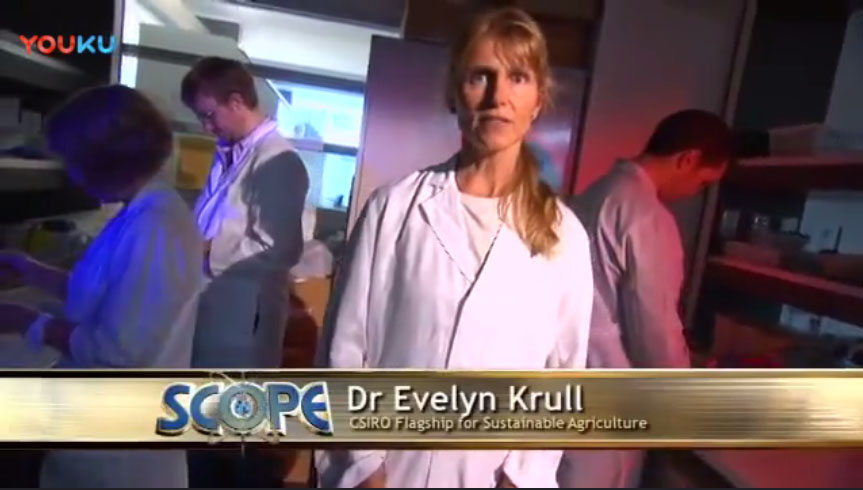 外国生物炭视频18-Amazing charcoal - biochar investigated