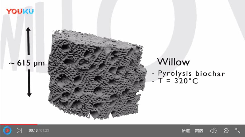 外国生物炭视频-6 Pore structure of pyrolysed willow biochar