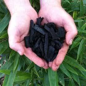 生物炭 (原料-竹子)