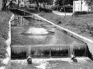 用生物改性竹炭使污水变清