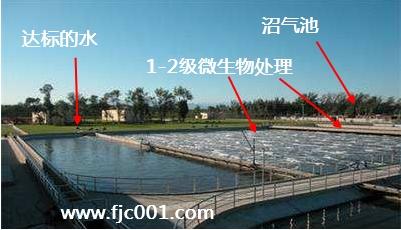微生物处理污水的几个问题讨论