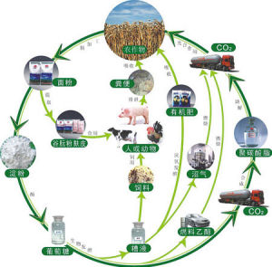 生物炭能够拯救世界吗？