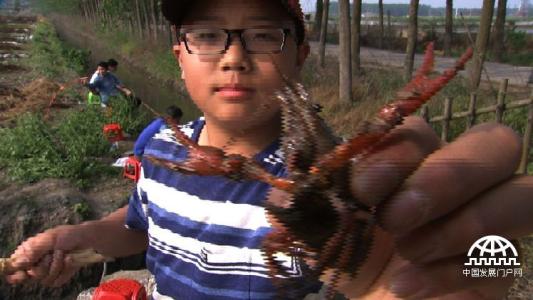 《致富经》意想不到的蚯蚓财富