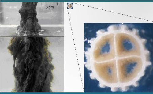污水处理中应用膜的分类 生物膜在污水处理中有哪些优势？