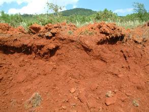 生物炭对黄壤中氮淋溶影响：室内土柱摸拟
