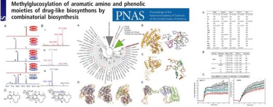 农用生物炭研究进展以前景