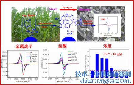 生物炭研究进展及其研究方向