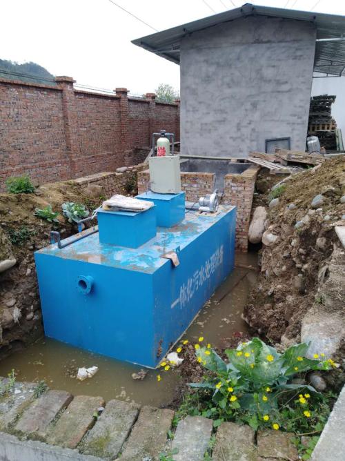 陈辉武：一片痴情付竹炭