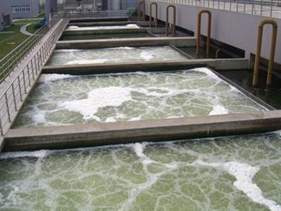 竹炭曝气生物滤池去除水中有机物的研究