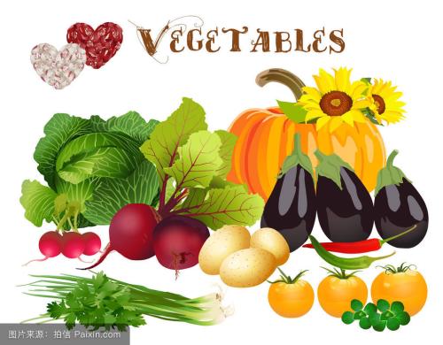 生物质炭基肥施用对蔬菜产量和品质以及氮素农学利用率的影响