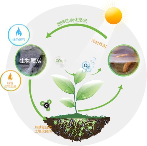 生物质炭在农业上的应用