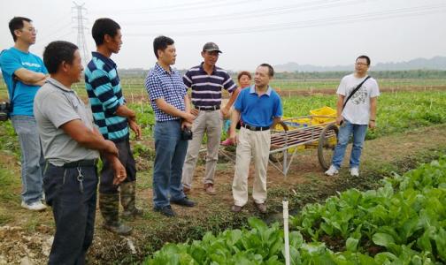 竹醋液在农业生产中的研究进展