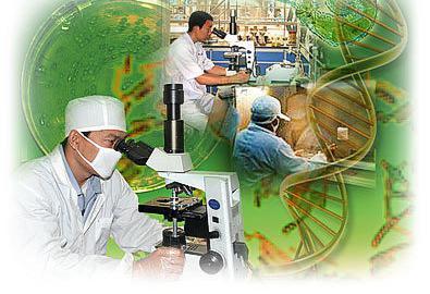 微生物与有机生态保育之开发与应用