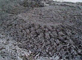 EM菌液在活性污泥系统中的实验研究