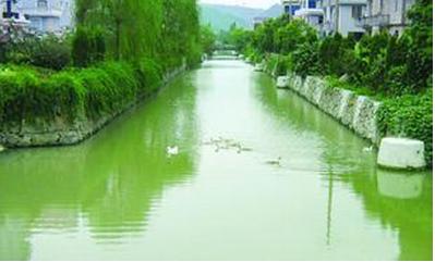 张齐生发明“生物改性竹炭”治理污水技术