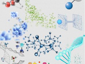 施用蚯蚓粪对温室菜田土壤DTPA浸提态铁锰铜锌含量的影响