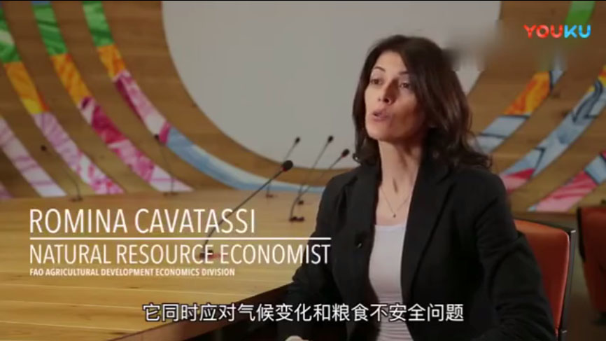气候变化造成粮食不安全