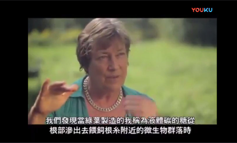 外国视频4-氣候變化與再生農業