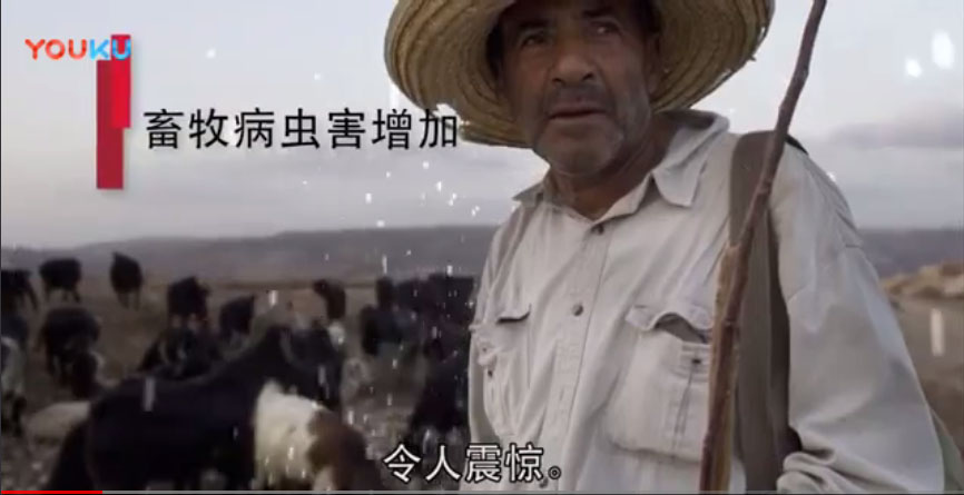 外国视频9-SOFA 2016 - 气候变化，农业和粮食安全