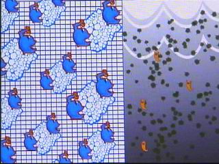 《马王堆的启示-神奇的竹炭 》